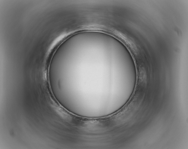 X0000113141462200909041158