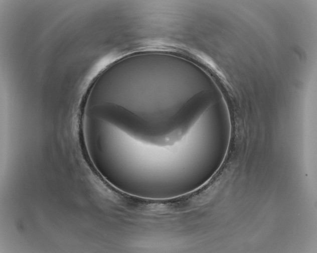 X0000113141463200909041158