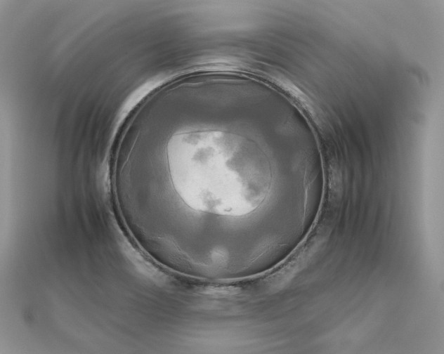 X0000113141466200909041158