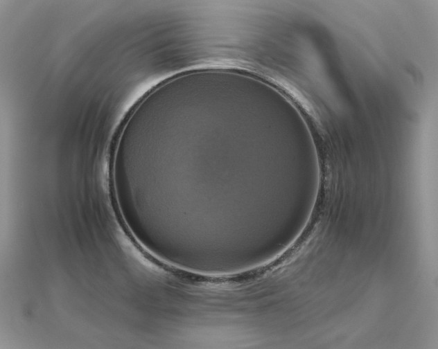 X0000113141468200909041158