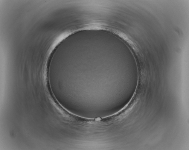 X0000113141469200909041158
