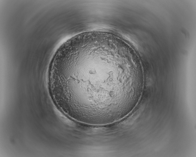 X0000113141471200909041158