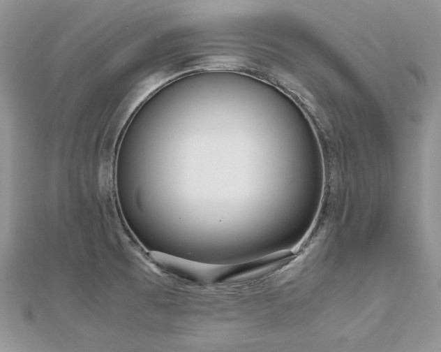 X0000113141473200909041158