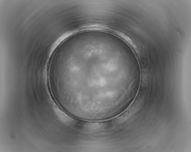 X0000113141474200909041158