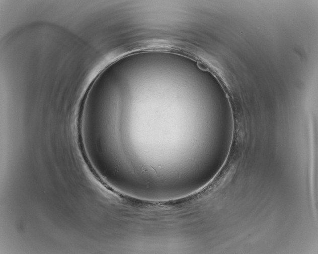 X0000113141475200909041158