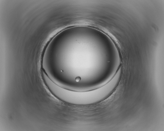 X0000113141477200909041158