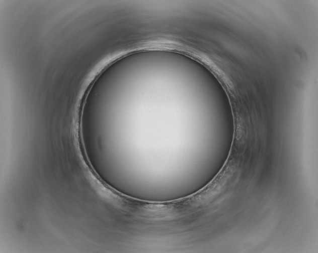 X0000113141478200909041158