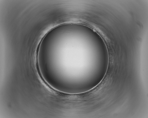X0000113141479200909041158