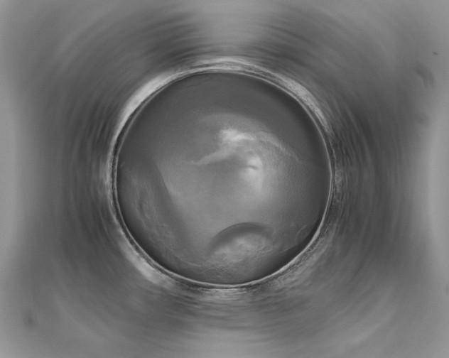 X0000113141482200909041158
