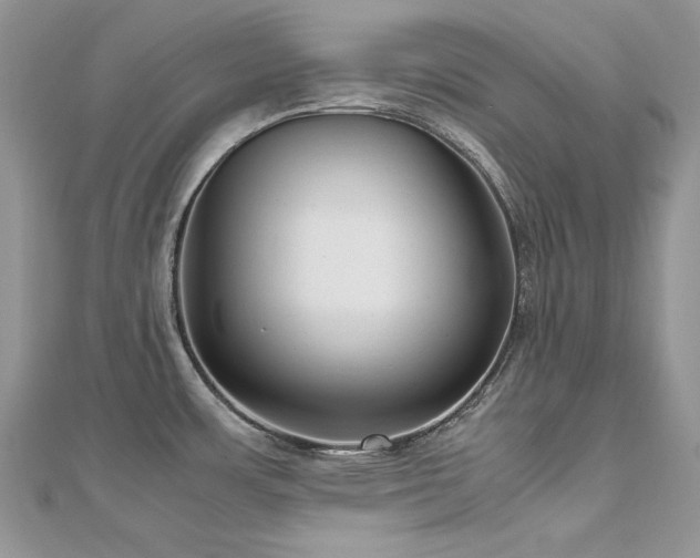 X0000113141483200909041158