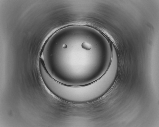 X0000113141484200909041158