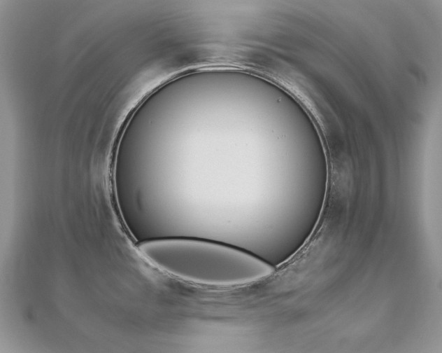 X0000113141485200909041158