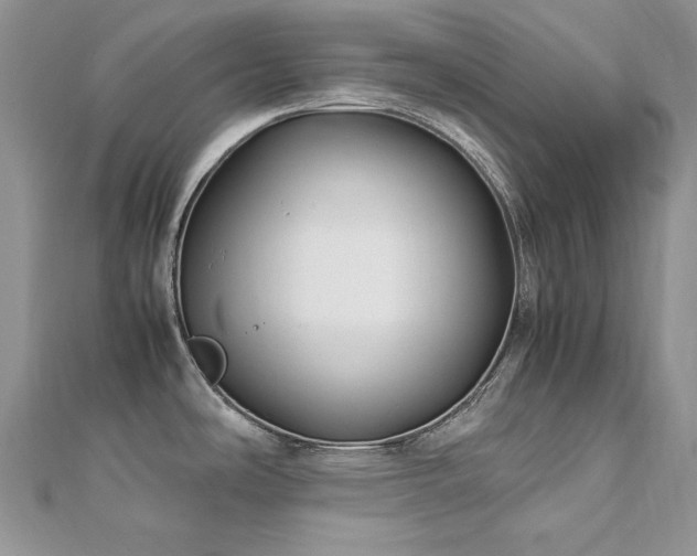 X0000113141486200909041158