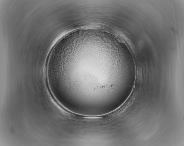 X0000113141487200909041158