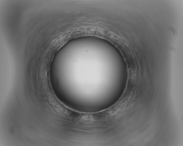 X0000113141489200909041157