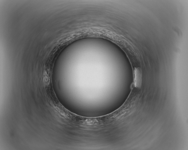X0000113141491200909041157