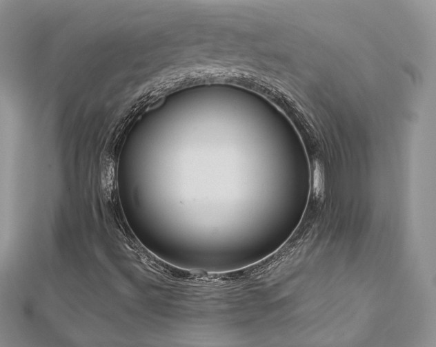 X0000113141492200909041157