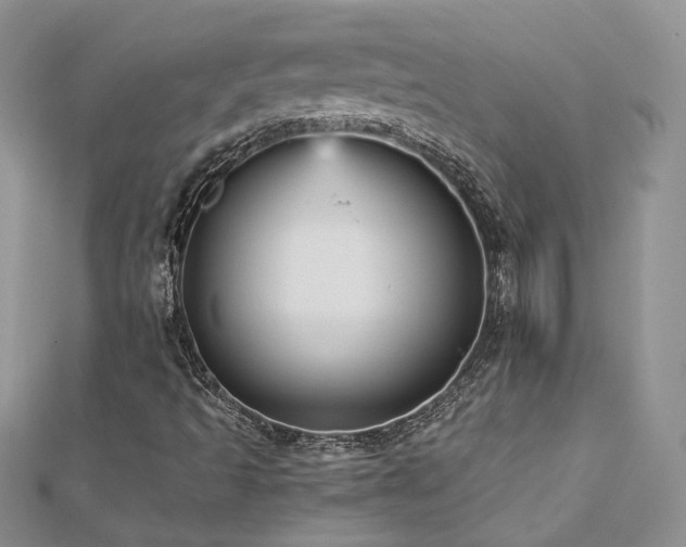 X0000113141493200909041157