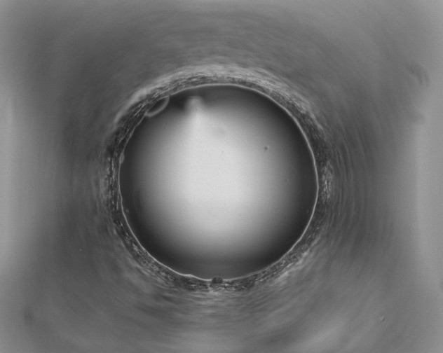 X0000113141494200909041157