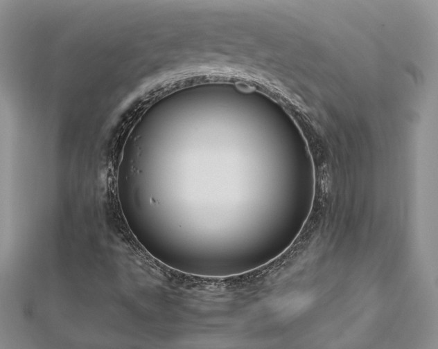 X0000113141495200909041157