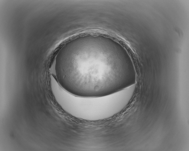 X0000113141496200909041157