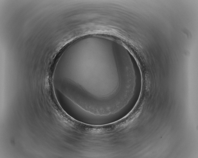 X0000113141497200909041157