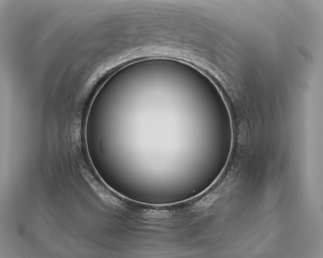 X0000113141499200909041157