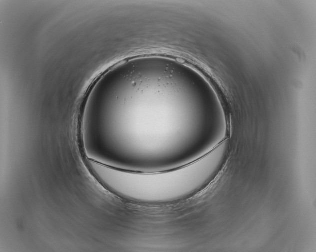 X0000113141500200909041157