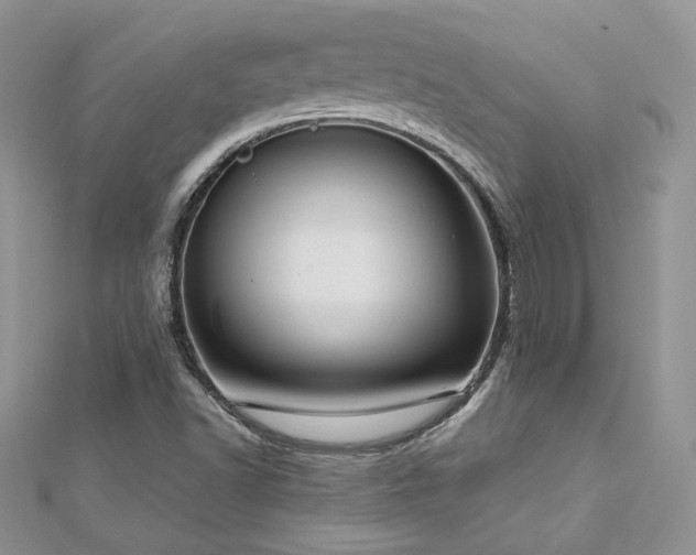 X0000113141502200909041157