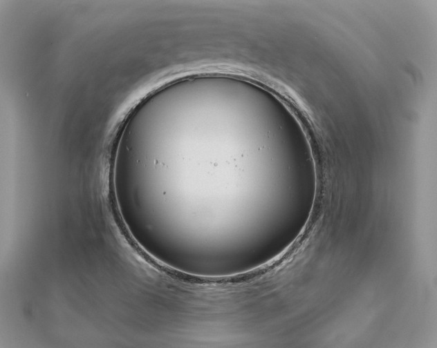 X0000113141504200909041157