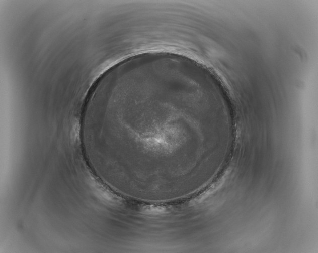 X0000113141505200909041157
