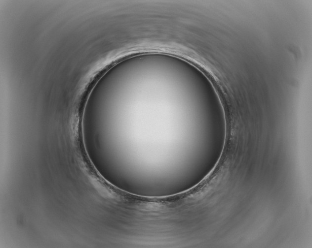 X0000113141507200909041157