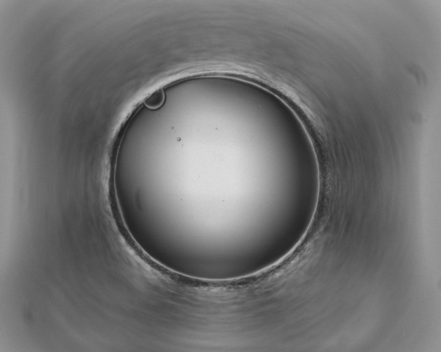 X0000113141508200909041157