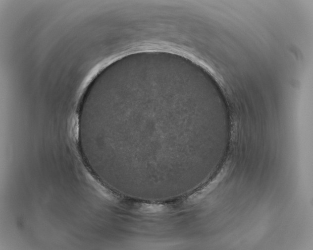 X0000113141509200909041157
