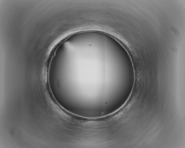 X0000113141510200909041157