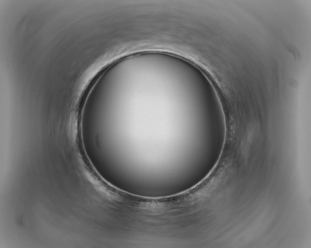 X0000113141511200909041157