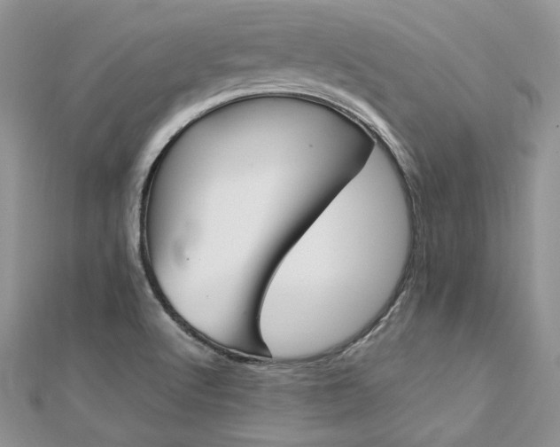 X0000113141512200909041157