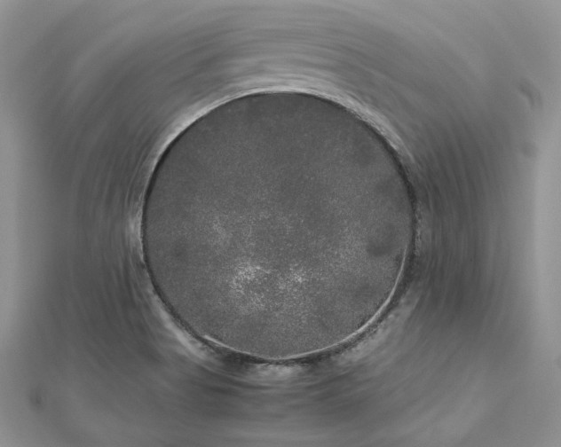 X0000113141513200909041157