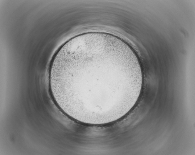 X0000113141514200909041157