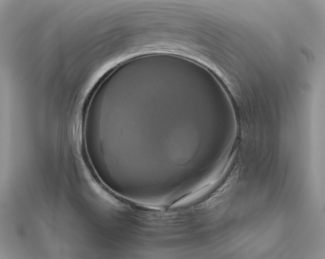 X0000113141515200909041157