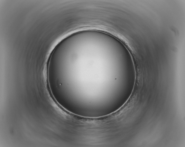 X0000113141516200909041157
