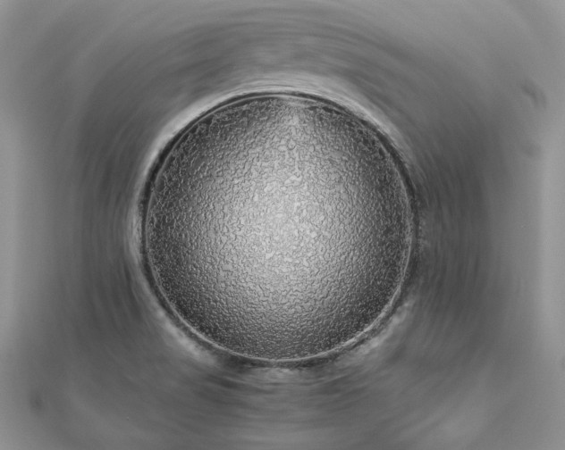 X0000113141517200909041157
