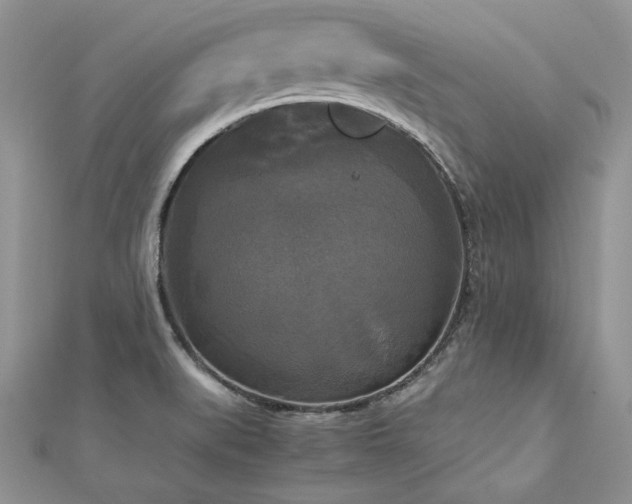 X0000113141519200909041157