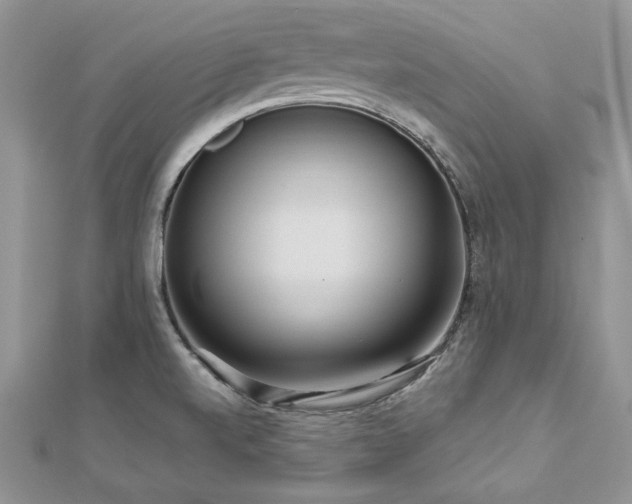 X0000113141520200909041157
