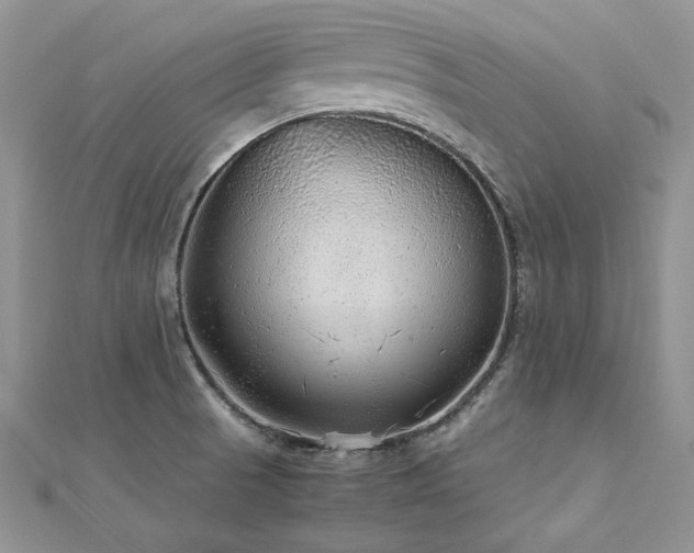X0000113141521200909041157
