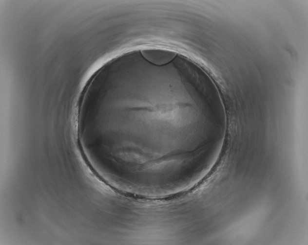 X0000113141522200909041157