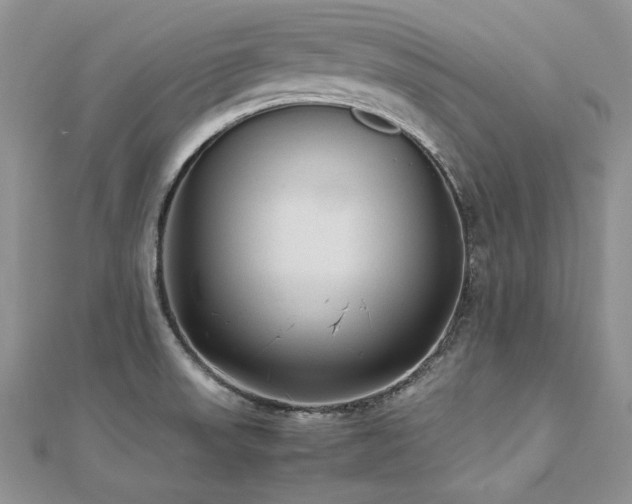 X0000113141523200909041157