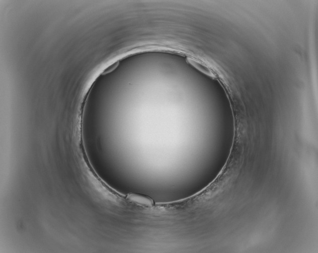 X0000113141524200909041157