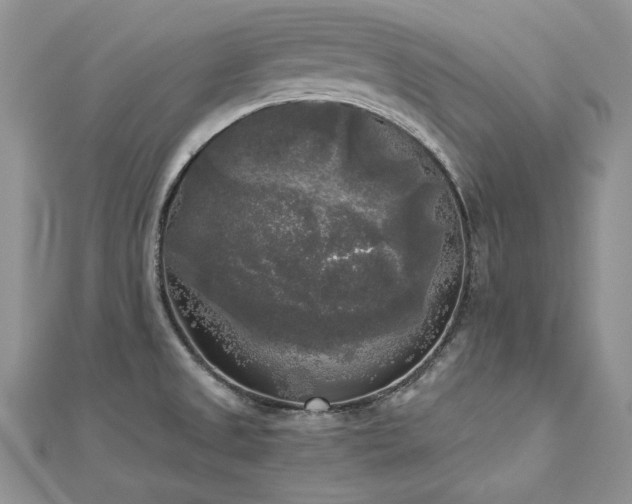 X0000113141525200909041157