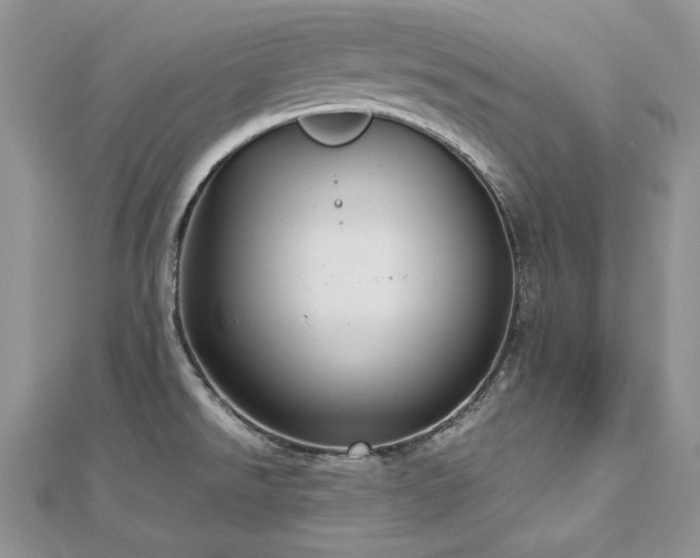 X0000113141526200909041157